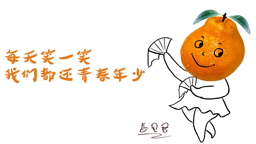 仁寿柑橘包装设计